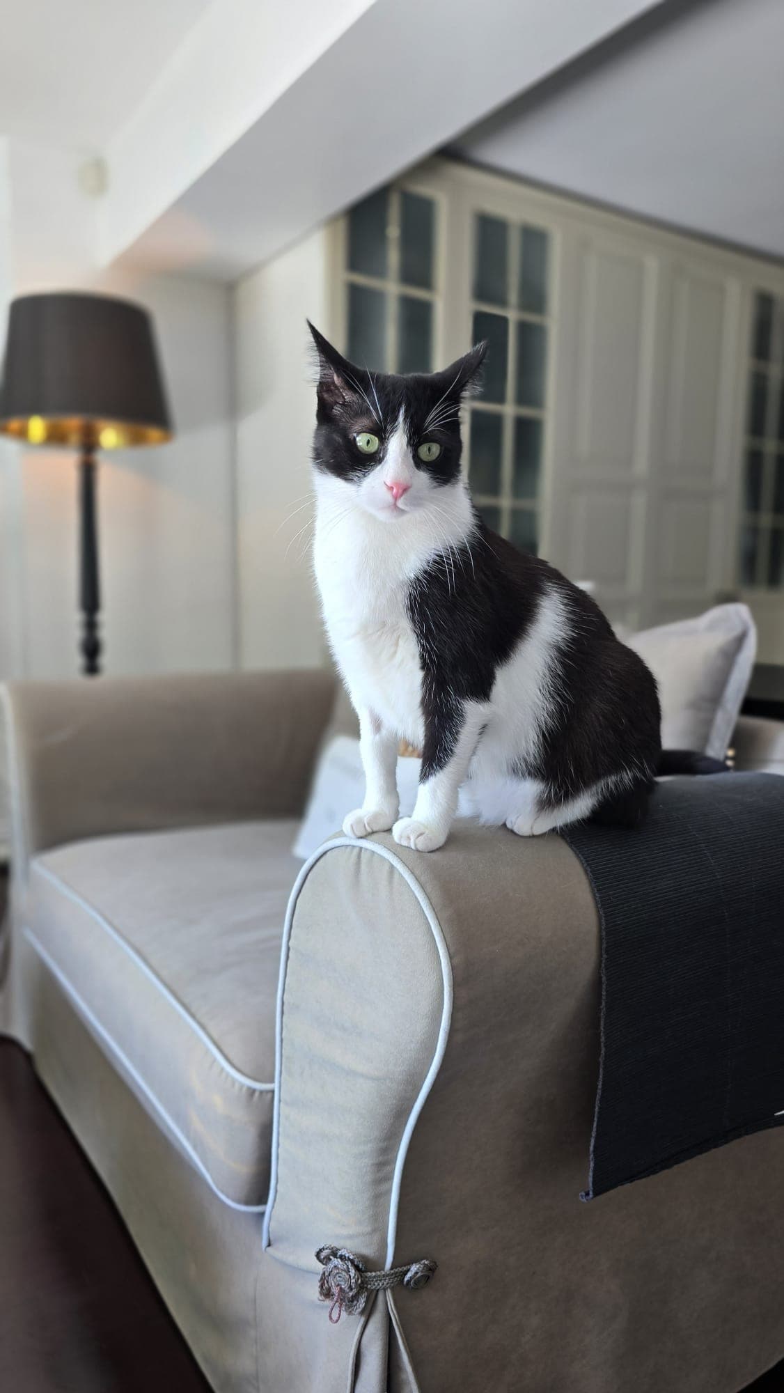 Pablo