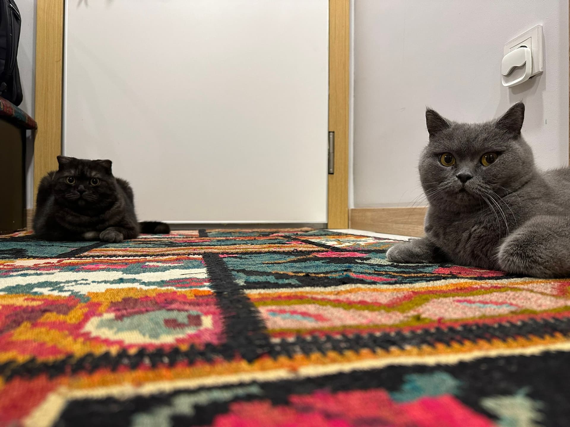 Peyk & Bıdık