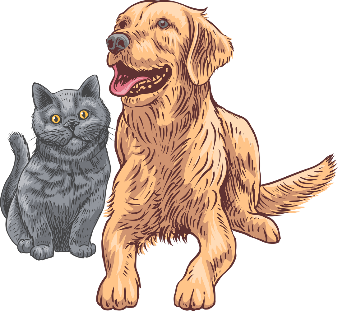 Cat and Dog Illustration